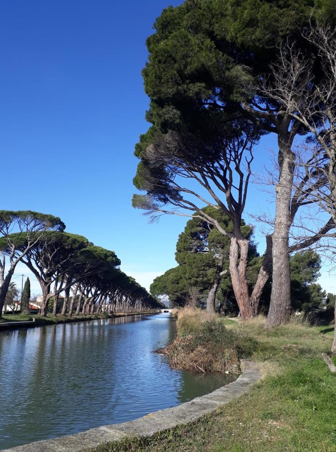 La Promesse De L Aude Daire Sallèles-dʼAude Dış mekan fotoğraf