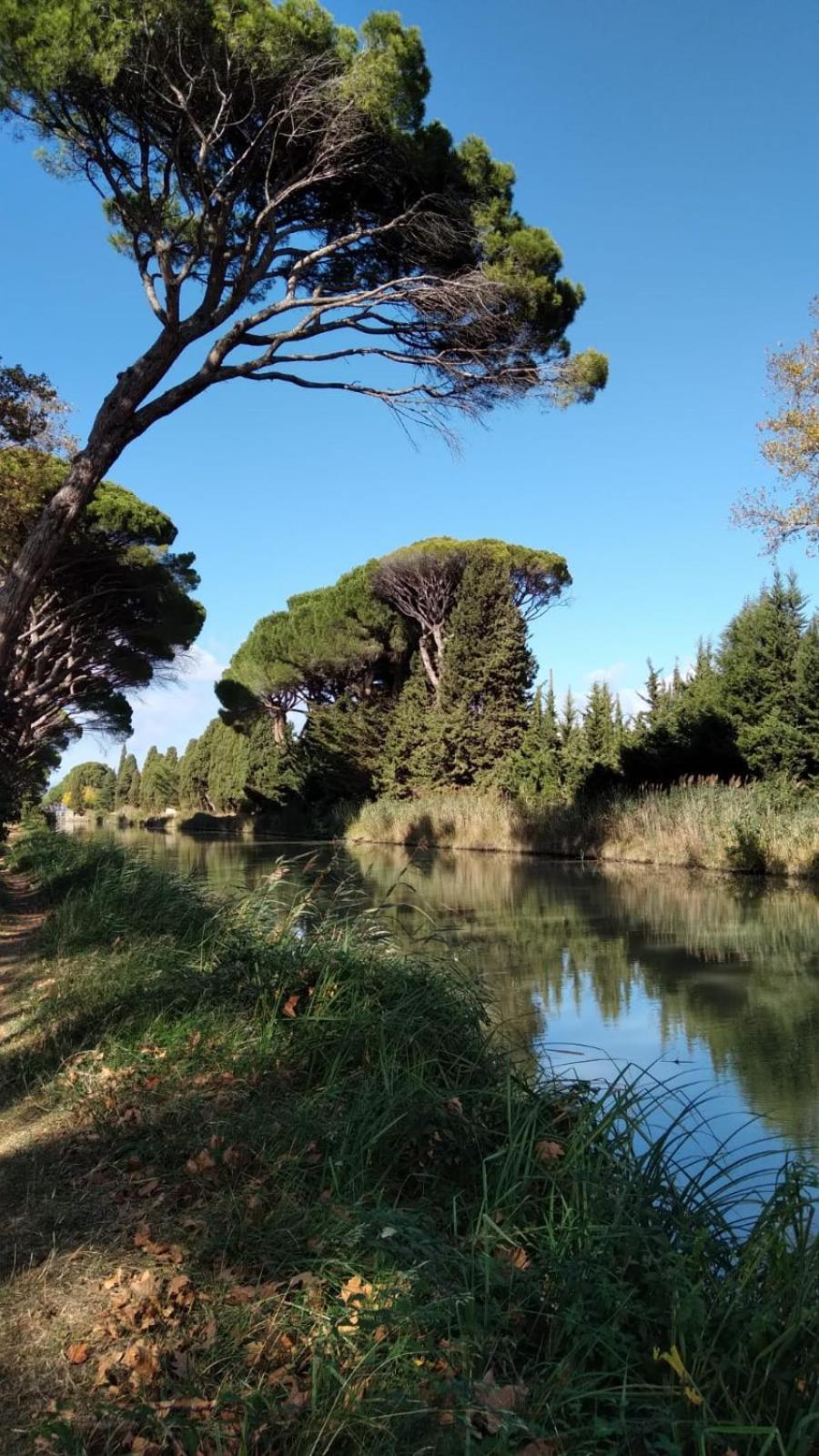 La Promesse De L Aude Daire Sallèles-dʼAude Dış mekan fotoğraf